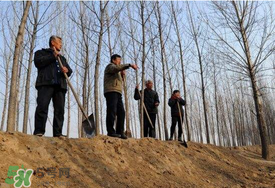 五月份能種樹嗎？五月份種樹能活嗎？