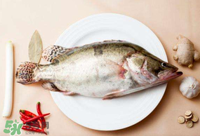 ?五月份吃什么魚？5月份吃什么魚？