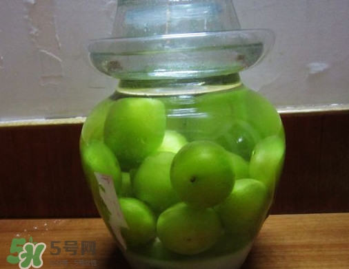 三華李可以泡酒嗎？三華李可以多吃嗎？