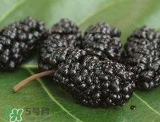 桑葚干怎么吃最有效?桑葚干怎么吃最好?