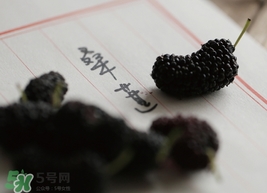 桑葚干怎么泡酒?桑葚干泡酒的做法 桑葚干怎么泡酒?桑葚干泡酒的做法