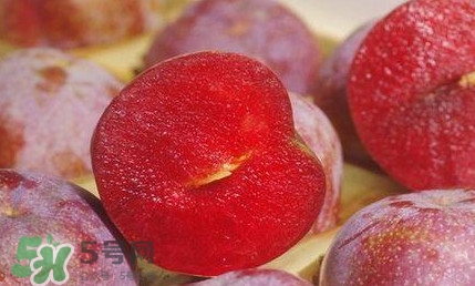 三華李幾月成熟？三華李有什么作用