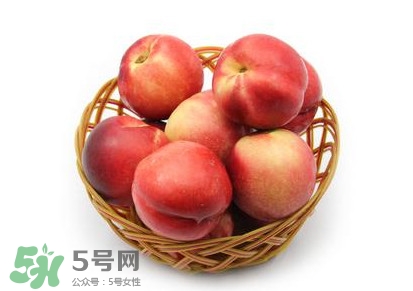 三華李可以泡酒嗎？三華李可以多吃嗎？