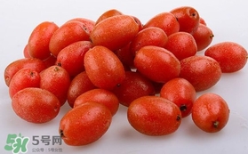 羊奶果可以連皮吃嗎？羊奶果的皮可以吃嗎