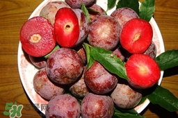 三華李吃多了會怎樣？吃多了三華李會不好嗎