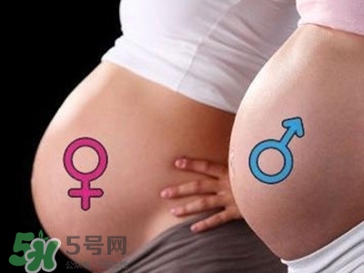 B超單數(shù)據(jù)怎么看男女？B超單看男女準(zhǔn)嗎？