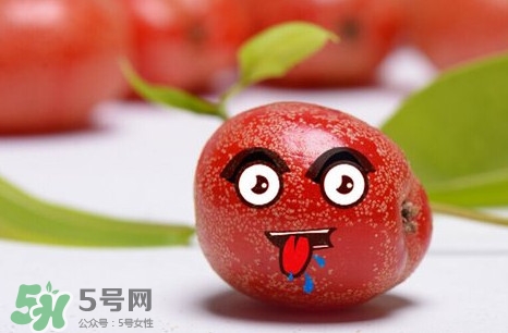 羊奶子有什么藥用價值？羊奶子有什么功效