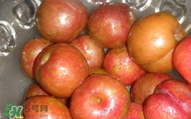 三華李可以泡酒嗎？三華李可以多吃嗎？