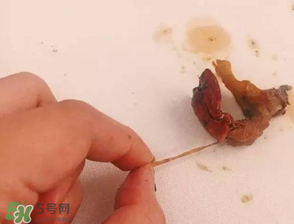 周黑鴨小龍蝦好吃嗎？周黑鴨小龍蝦試吃評測