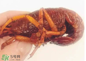 周黑鴨小龍蝦好吃嗎？周黑鴨小龍蝦試吃評測