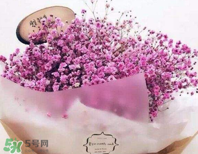 母親節(jié)可以送滿天星嗎？母親節(jié)能送滿天星嗎？