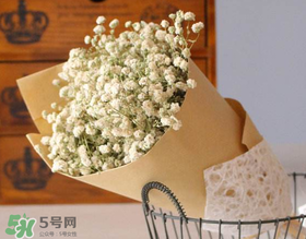 母親節(jié)可以送滿天星嗎？母親節(jié)能送滿天星嗎？