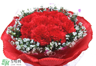 康乃馨多少錢(qián)一束2017？康乃馨多少錢(qián)一朵2017？