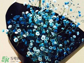 滿天星多少錢一束2017？滿天星多少錢一支2017？