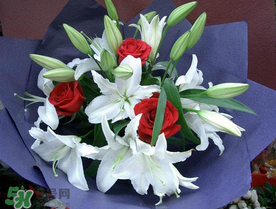 百合花多少錢一支2017？百合花多少錢一束2017？