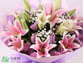 百合花多少錢一支2017？百合花多少錢一束2017？