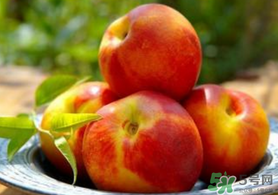 油桃小孩可以吃嗎？寶寶能不能吃油桃？