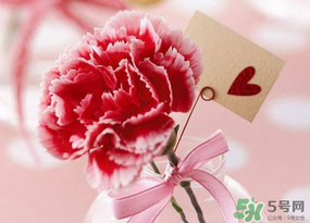 康乃馨可以放臥室嗎？康乃馨能放在臥室嗎？