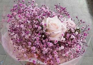 母親節(jié)可以送滿天星嗎？母親節(jié)能送滿天星嗎？