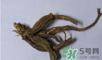 土瓜根是什么？土瓜根粉哪里有賣的？