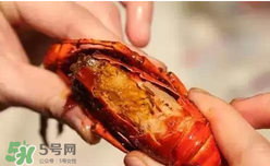 周黑鴨小龍蝦怎么吃？周黑鴨小龍蝦怎么吃圖解？