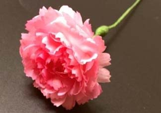 母親節(jié)可以送紙做的康乃馨嗎？康乃馨怎么折？