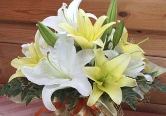 百合花多少錢一支2017？百合花多少錢一束2017？