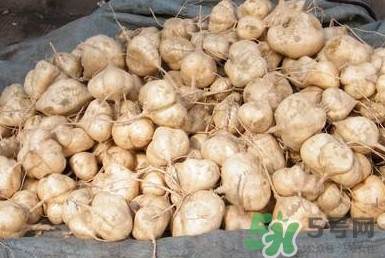 土瓜是涼性還是熱性？土瓜是寒性還是熱性？