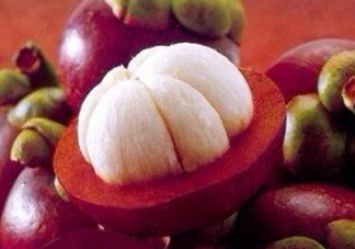 山竹是什么季節(jié)的水果？山竹是哪里的特產(chǎn)