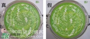 佰草集面膜真假怎么辨別_新七白面膜真假對(duì)比圖 佰草集面膜真假怎么辨別_新七白面膜真假對(duì)比圖