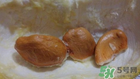 榴蓮核有毒嗎？榴蓮核有什么作用