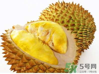 榴蓮核能種嗎？榴蓮核怎么種盆栽？