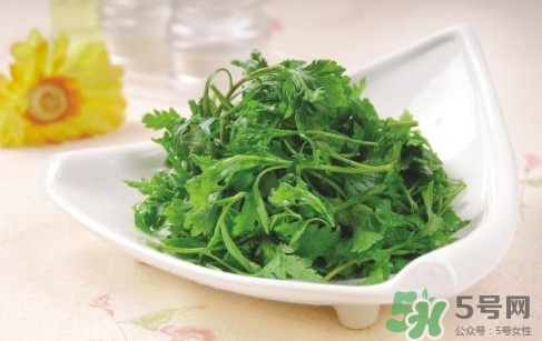 菊花腦就是菊花嗎？菊花腦怎么吃