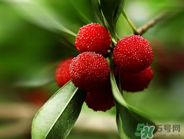 楊梅可以帶上飛機(jī)嗎？飛機(jī)能帶楊梅嗎？