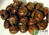 馬蹄孕婦能吃嗎？孕婦能不能吃馬蹄