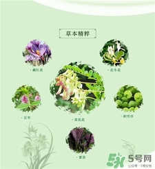 蘭心惠質(zhì)面膜好用嗎?蘭心惠質(zhì)面膜怎么樣? 蘭心惠質(zhì)面膜好用嗎?蘭心惠質(zhì)面膜怎么樣?