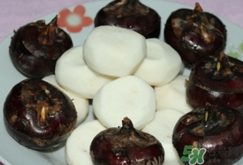 荸薺可以放冰箱嗎？荸薺可以冷凍嗎