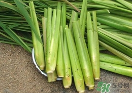 茭白能放冰箱嗎？茭白可以放冰箱多久