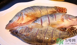 鱖魚(yú)是海魚(yú)嗎？鱖魚(yú)是淡水魚(yú)還是海魚(yú)