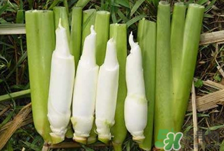 茭白怎么處理？茭白要去皮嗎