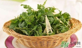 菊花腦是發(fā)物嗎？菊花腦是不是發(fā)物