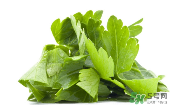 菊花腦有什么好處？菊花腦的功效與作用