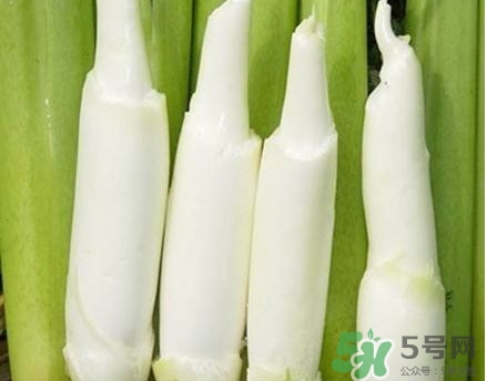 茭白需要焯水嗎？炒茭白要不要焯水