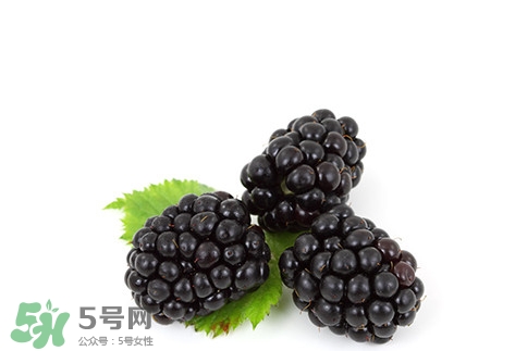 覆盆子的熱量高嗎？覆盆子可以減肥嗎？