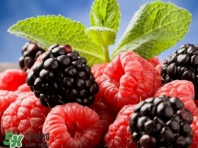 山莓跟黑莓一樣嗎？黑莓貴還是山莓貴？