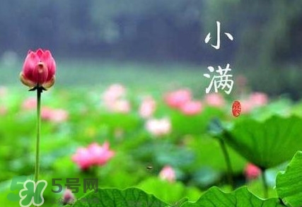 2017小滿是幾月幾日？小滿節(jié)氣養(yǎng)生