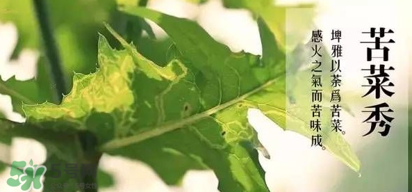 2017小滿是幾月幾日？小滿節(jié)氣養(yǎng)生