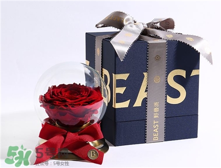 野獸派永生花為什么貴?野獸派永生花怎么樣? 野獸派永生花為什么貴?野獸派永生花怎么樣?