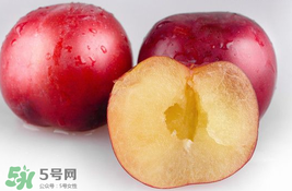 李子可以和西紅柿一起吃嗎？西紅柿和李子能同吃？