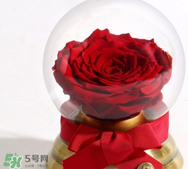 野獸派水晶球多少錢？野獸派水晶球音樂盒價格